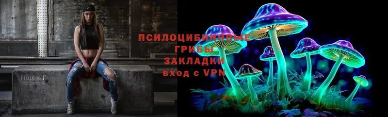 Галлюциногенные грибы Cubensis  Белозерск 